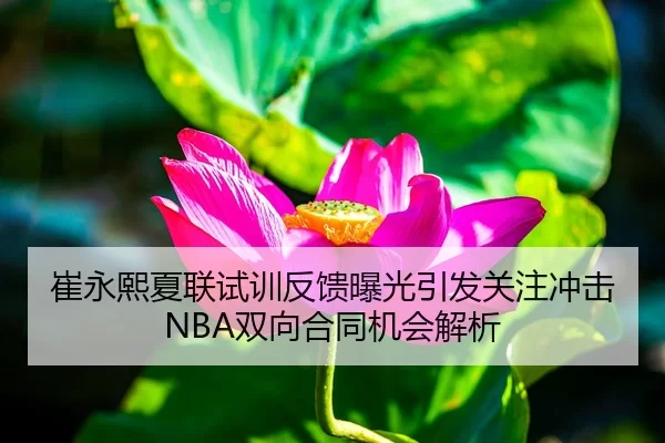 崔永熙夏联试训反馈曝光引发关注冲击NBA双向合同机会解析